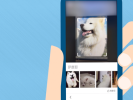 強大以圖搜圖技術是基于什么創造出來的？