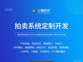 拍賣商城系統開發的模式